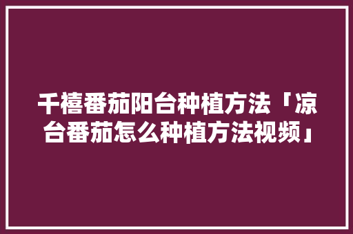 千禧番茄阳台种植方法「凉台番茄怎么种植方法视频」 千禧番茄阳台种植方法「凉台番茄怎么种植方法视频」 番茄种植技巧