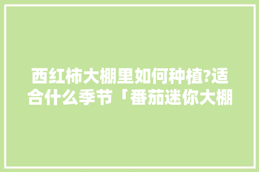 西红柿大棚里如何种植?适合什么季节「番茄迷你大棚怎么种植的」 西红柿大棚里如何种植?适合什么季节「番茄迷你大棚怎么种植的」 番茄病虫害防治