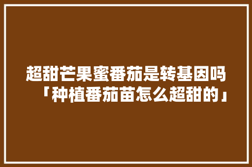 超甜芒果蜜番茄是转基因吗「种植番茄苗怎么超甜的」 超甜芒果蜜番茄是转基因吗「种植番茄苗怎么超甜的」 农业常识