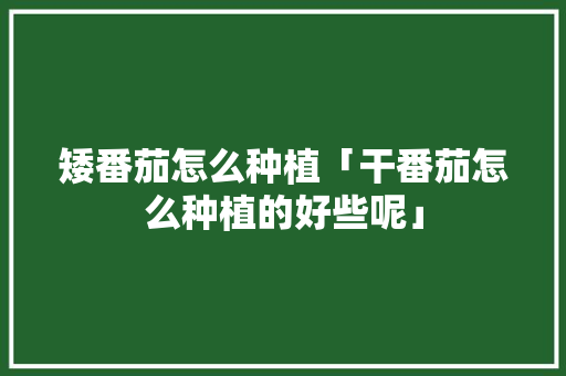 矮番茄怎么种植「干番茄怎么种植的好些呢」 种植技巧 矮番茄怎么种植「干番茄怎么种植的好些呢」 矮番茄怎么种植「干番茄怎么种植的好些呢」 种植技巧