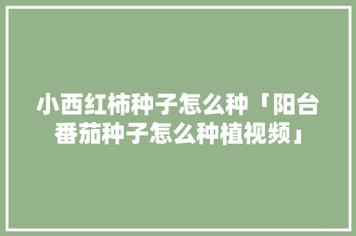 小西红柿种子怎么种「阳台番茄种子怎么种植视频」 小西红柿种子怎么种「阳台番茄种子怎么种植视频」 土壤施肥