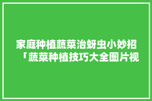 家庭种植蔬菜治蚜虫小妙招「蔬菜种植技巧大全图片视频」
