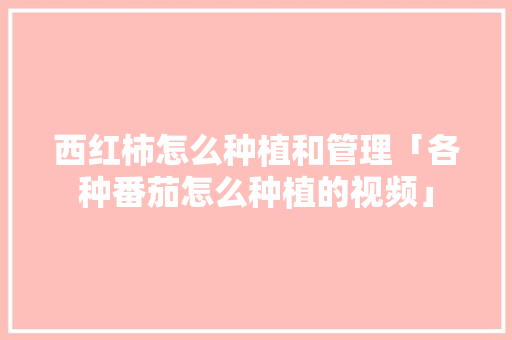 西红柿怎么种植和管理「各种番茄怎么种植的视频」 西红柿怎么种植和管理「各种番茄怎么种植的视频」 番茄种植技巧