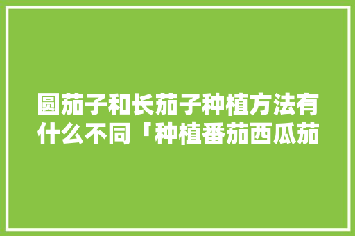 圆茄子和长茄子种植方法有什么不同「种植番茄西瓜茄子怎么种植」 圆茄子和长茄子种植方法有什么不同「种植番茄西瓜茄子怎么种植」 番茄病虫害防治