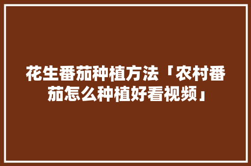 花生番茄种植方法「农村番茄怎么种植好看视频」 花生番茄种植方法「农村番茄怎么种植好看视频」 番茄病虫害防治