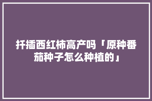 扦插西红柿高产吗「原种番茄种子怎么种植的」 扦插西红柿高产吗「原种番茄种子怎么种植的」 植物种类