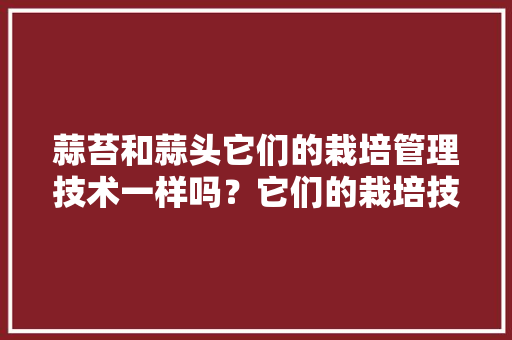 蒜苔和蒜头它们的栽培管理技术一样吗？它们的栽培技术有哪些「蔬菜种植技巧大蒜视频」