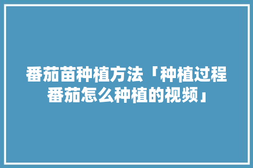 番茄苗种植方法「种植过程番茄怎么种植的视频」 番茄苗种植方法「种植过程番茄怎么种植的视频」 植物种类