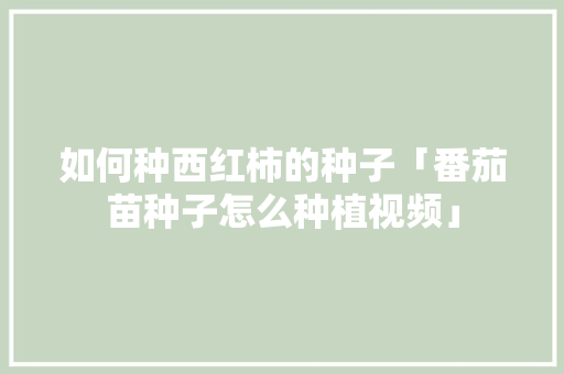 如何种西红柿的种子「番茄苗种子怎么种植视频」 如何种西红柿的种子「番茄苗种子怎么种植视频」 农业常识
