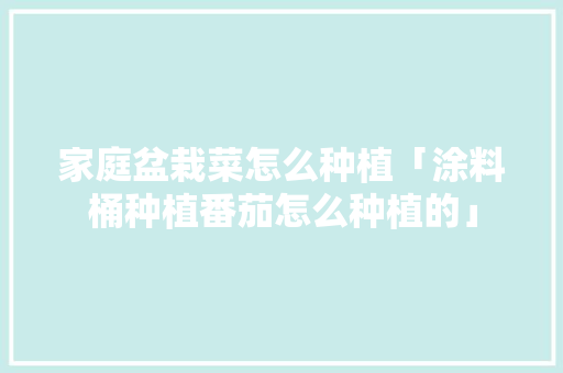 家庭盆栽菜怎么种植「涂料桶种植番茄怎么种植的」 家庭盆栽菜怎么种植「涂料桶种植番茄怎么种植的」 土壤施肥
