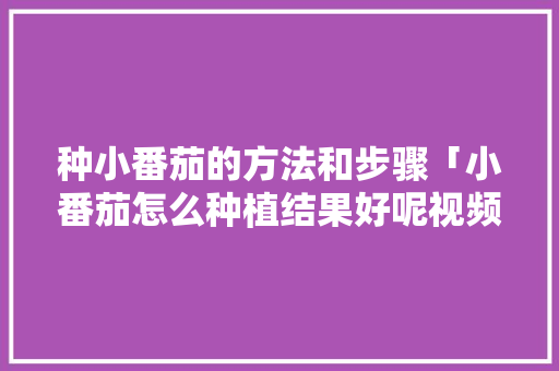 种小番茄的方法和步骤「小番茄怎么种植结果好呢视频」 种小番茄的方法和步骤「小番茄怎么种植结果好呢视频」 土壤施肥