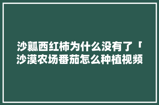 沙瓤西红柿为什么没有了「沙漠农场番茄怎么种植视频」 沙瓤西红柿为什么没有了「沙漠农场番茄怎么种植视频」 土壤施肥