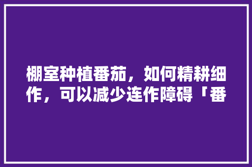 棚室种植番茄,如何精耕细作,可以减少连作障碍「番茄种植密度怎么控制的」 土壤施肥 棚室种植番茄,如何精耕细作,可以减少连作障碍「番茄种植密度怎么控制的」 棚室种植番茄,如何精耕细作,可以减少连作障碍「番茄种植密度怎么控制的」 土壤施肥