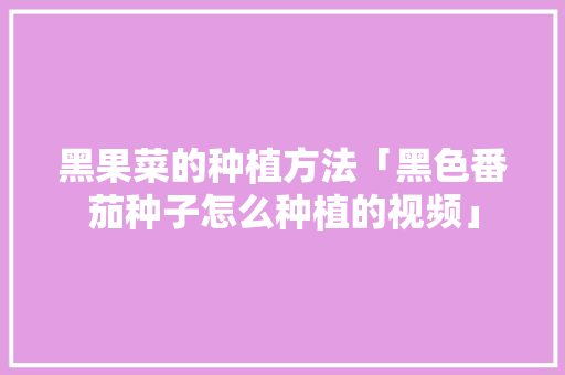 黑果菜的种植方法「黑色番茄种子怎么种植的视频」 黑果菜的种植方法「黑色番茄种子怎么种植的视频」 种植技巧