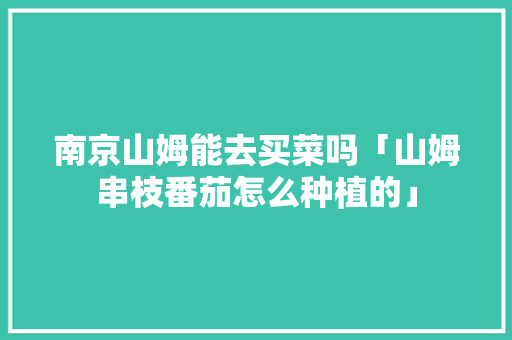 南京山姆能去买菜吗「山姆串枝番茄怎么种植的」
