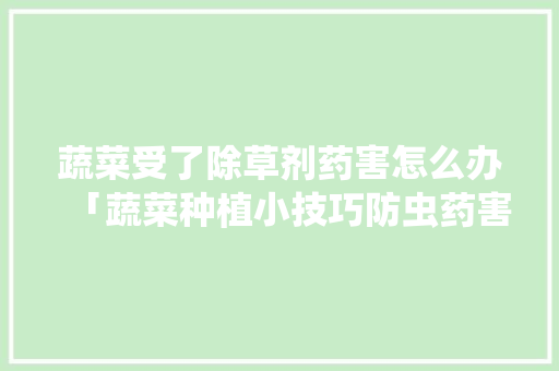 蔬菜受了除草剂药害怎么办「蔬菜种植小技巧防虫药害视频」