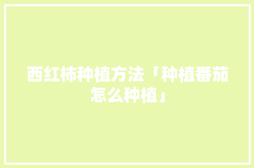 西红柿种植方法「种植番茄怎么种植」 土壤施肥 西红柿种植方法「种植番茄怎么种植」 西红柿种植方法「种植番茄怎么种植」 土壤施肥