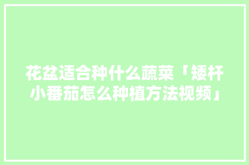 花盆适合种什么蔬菜「矮杆小番茄怎么种植方法视频」 花盆适合种什么蔬菜「矮杆小番茄怎么种植方法视频」 植物种类