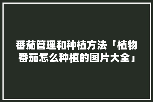 番茄管理和种植方法「植物番茄怎么种植的图片大全」 番茄管理和种植方法「植物番茄怎么种植的图片大全」 花朵知识