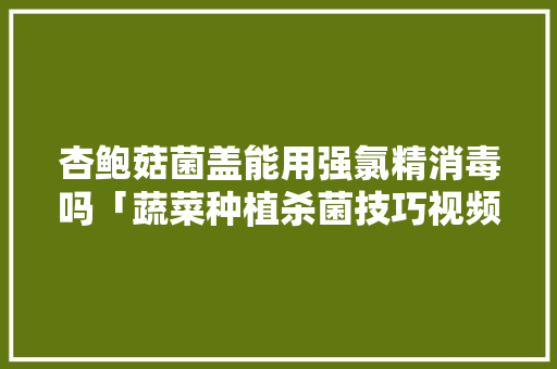 杏鲍菇菌盖能用强氯精消毒吗「蔬菜种植杀菌技巧视频讲解大全」 杏鲍菇菌盖能用强氯精消毒吗「蔬菜种植杀菌技巧视频讲解大全」 花朵知识