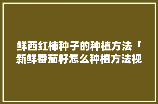 鲜西红柿种子的种植方法「新鲜番茄籽怎么种植方法视频」 鲜西红柿种子的种植方法「新鲜番茄籽怎么种植方法视频」 植物种类