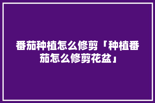 番茄种植怎么修剪「种植番茄怎么修剪花盆」 番茄种植怎么修剪「种植番茄怎么修剪花盆」 土壤施肥