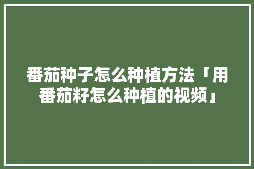 番茄种子怎么种植方法「用番茄籽怎么种植的视频」 土壤施肥 番茄种子怎么种植方法「用番茄籽怎么种植的视频」 番茄种子怎么种植方法「用番茄籽怎么种植的视频」 土壤施肥