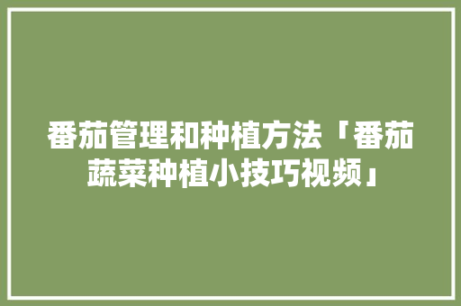 番茄管理和种植方法「番茄蔬菜种植小技巧视频」 番茄管理和种植方法「番茄蔬菜种植小技巧视频」 农业常识