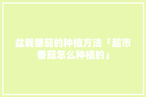 盆栽番茄的种植方法「超市番茄怎么种植的」 盆栽番茄的种植方法「超市番茄怎么种植的」 植物种类
