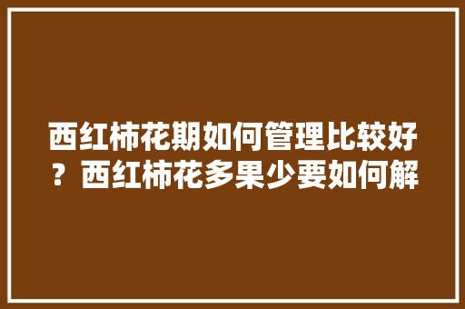 西红柿花期如何管理比较好？西红柿花多果少要如何解决「番茄熊蜂授粉」 西红柿花期如何管理比较好？西红柿花多果少要如何解决「番茄熊蜂授粉」 植物种类