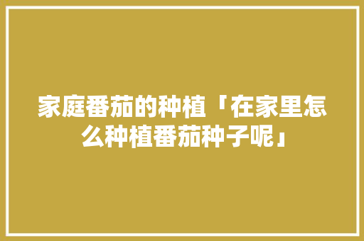 家庭番茄的种植「在家里怎么种植番茄种子呢」 种植技巧 家庭番茄的种植「在家里怎么种植番茄种子呢」 家庭番茄的种植「在家里怎么种植番茄种子呢」 种植技巧