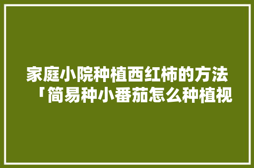 家庭小院种植西红柿的方法「简易种小番茄怎么种植视频」 家庭小院种植西红柿的方法「简易种小番茄怎么种植视频」 种植技巧