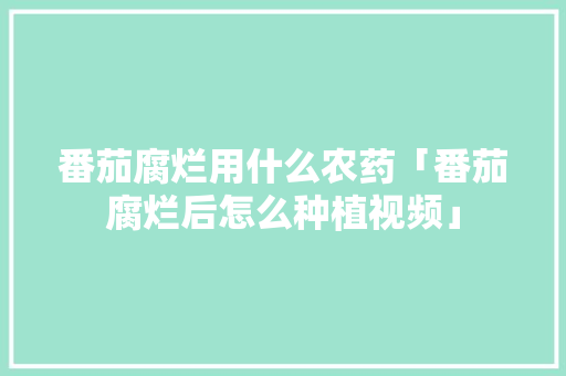 番茄腐烂用什么农药「番茄腐烂后怎么种植视频」