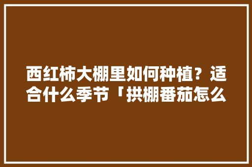 西红柿大棚里如何种植？适合什么季节「拱棚番茄怎么种植方法视频」 西红柿大棚里如何种植？适合什么季节「拱棚番茄怎么种植方法视频」 番茄病虫害防治