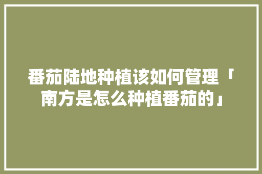 番茄陆地种植该如何管理「南方是怎么种植番茄的」 番茄陆地种植该如何管理「南方是怎么种植番茄的」 植物种类