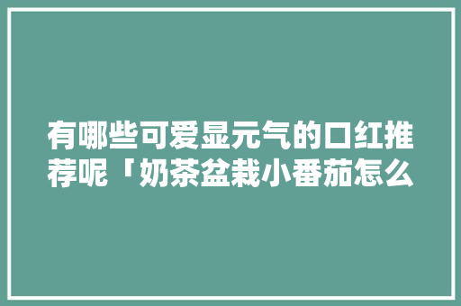 有哪些可爱显元气的口红推荐呢「奶茶盆栽小番茄怎么种植的」
