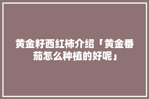 黄金籽西红柿介绍「黄金番茄怎么种植的好呢」 黄金籽西红柿介绍「黄金番茄怎么种植的好呢」 花朵知识