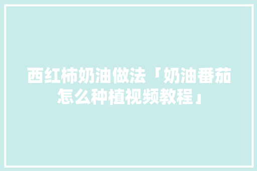 西红柿奶油做法「奶油番茄怎么种植视频教程」
