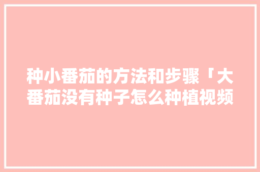 种小番茄的方法和步骤「大番茄没有种子怎么种植视频」 种小番茄的方法和步骤「大番茄没有种子怎么种植视频」 植物种类