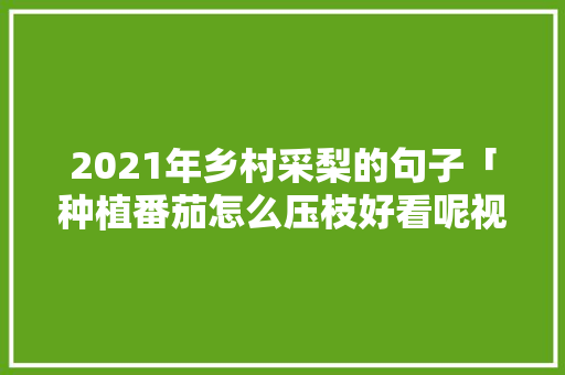 2021年乡村采梨的句子「种植番茄怎么压枝好看呢视频」 2021年乡村采梨的句子「种植番茄怎么压枝好看呢视频」 花朵知识