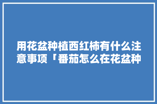 用花盆种植西红柿有什么注意事项「番茄怎么在花盆种植呢视频」 用花盆种植西红柿有什么注意事项「番茄怎么在花盆种植呢视频」 种植技巧