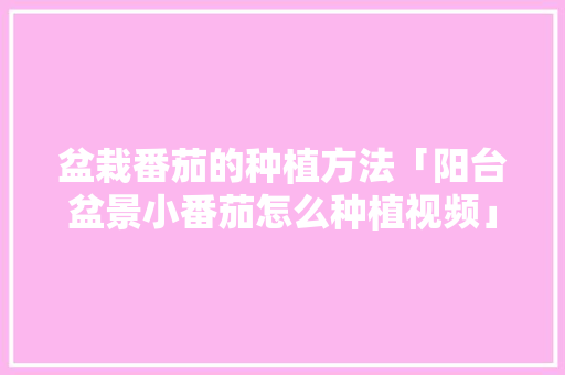 盆栽番茄的种植方法「阳台盆景小番茄怎么种植视频」 盆栽番茄的种植方法「阳台盆景小番茄怎么种植视频」 番茄病虫害防治