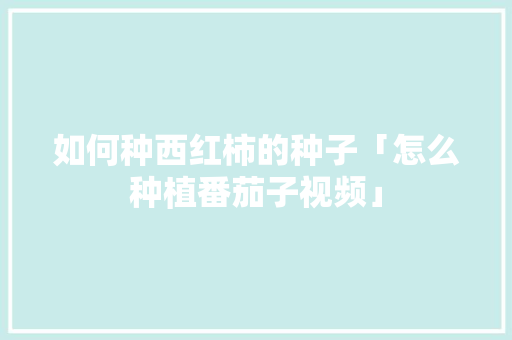 如何种西红柿的种子「怎么种植番茄子视频」 如何种西红柿的种子「怎么种植番茄子视频」 番茄种植技巧