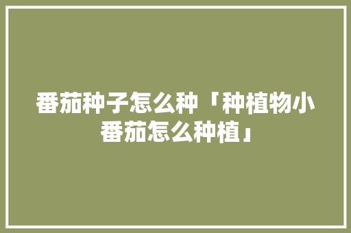 番茄种子怎么种「种植物小番茄怎么种植」 番茄种子怎么种「种植物小番茄怎么种植」 番茄病虫害防治