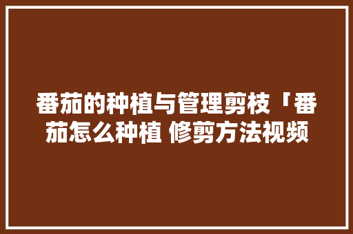 番茄的种植与管理剪枝「番茄怎么种植 修剪方法视频」 番茄的种植与管理剪枝「番茄怎么种植 修剪方法视频」 植物种类