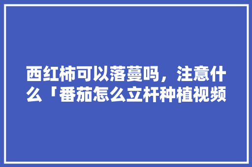 西红柿可以落蔓吗，注意什么「番茄怎么立杆种植视频教程」 西红柿可以落蔓吗，注意什么「番茄怎么立杆种植视频教程」 花朵知识