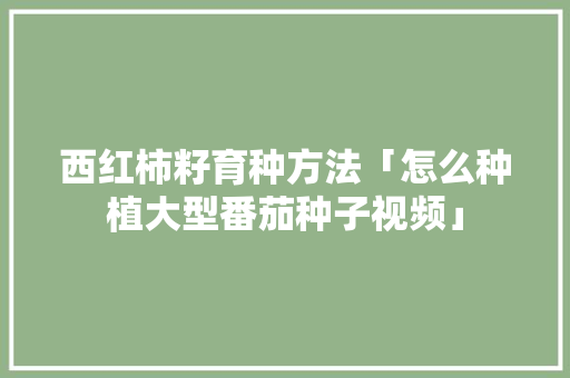 西红柿籽育种方法「怎么种植大型番茄种子视频」 西红柿籽育种方法「怎么种植大型番茄种子视频」 农业常识