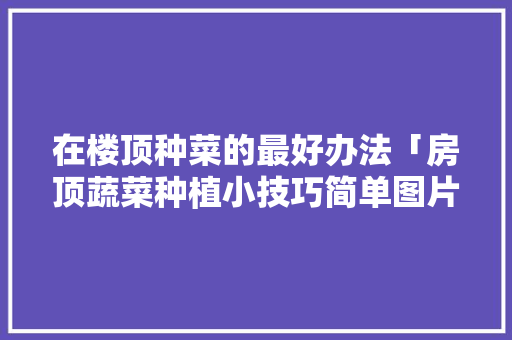 在楼顶种菜的最好办法「房顶蔬菜种植小技巧简单图片」 在楼顶种菜的最好办法「房顶蔬菜种植小技巧简单图片」 番茄种植技巧
