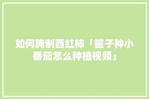 如何腌制西红柿「罐子种小番茄怎么种植视频」 如何腌制西红柿「罐子种小番茄怎么种植视频」 番茄种植技巧
