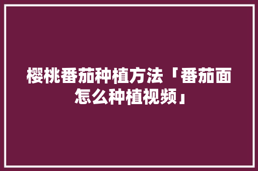 樱桃番茄种植方法「番茄面怎么种植视频」 樱桃番茄种植方法「番茄面怎么种植视频」 番茄种植技巧
